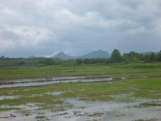 diary-image