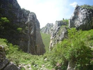 diary-image