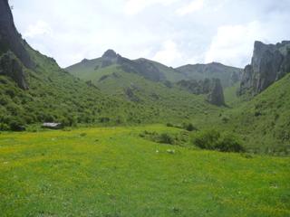 diary-image